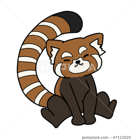 Lesser panda - Stock Illustration [47313020] - PIXTA