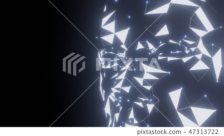 Human face consisting of luminous lines and dots Human face consisting of luminous lines and dots 47313722