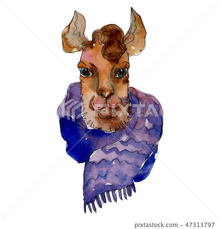 Cartoon character lama animal in a watercolor style. Watercolor background illustration set 47313797