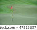 Golf Putting Green 47313837