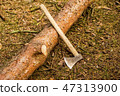 ax at a sawn tree 47313900