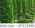 Garden 47313946