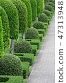 Garden 47313948