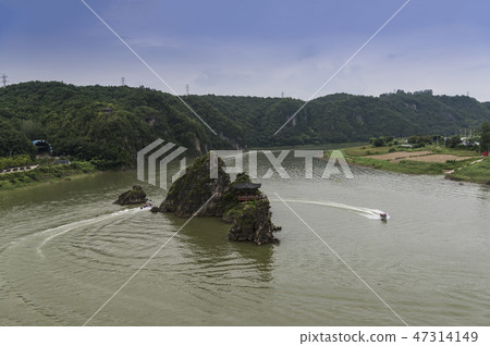 Dodam Sambong 47314149