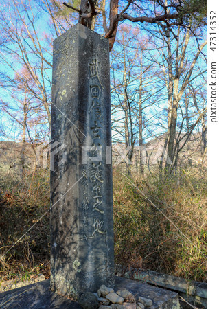 ■Hayamayama城堡■Takeda Shingen公共出生地■Kogasaki Kan城堡■山梨縣■Katsutiko Takeda，Shigeru Takeda 47314352