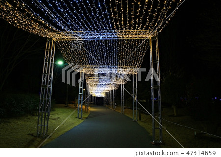 Night view, fireworks, fireworks festival, event Night view, fireworks, fireworks festival, event 47314659