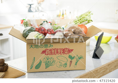 現在庫存蔬菜家庭毛巾納稅退還圖像 現在庫存蔬菜家庭毛巾納稅退還圖像 47315420