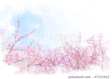 Kawazu cherry blossom watercolor style Kawazu cherry blossom watercolor style 47315422
