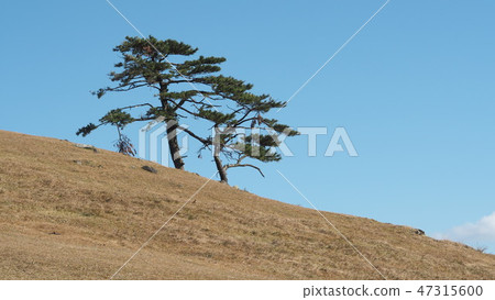 一座小山 一座小山 47315600