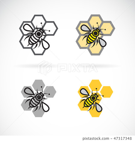 Vector of bee and honeycomb design. Insect. 47317348