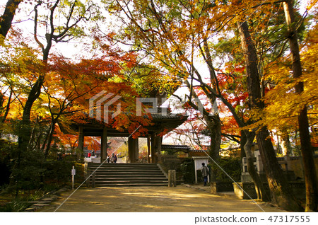 Kōsanji Kōsanji 47317555