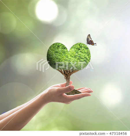 Sustainable world environment day concept Sustainable world environment day concept 47318456