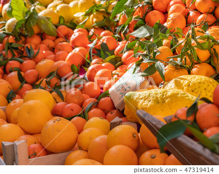 意大利熱那亞橙 47319414