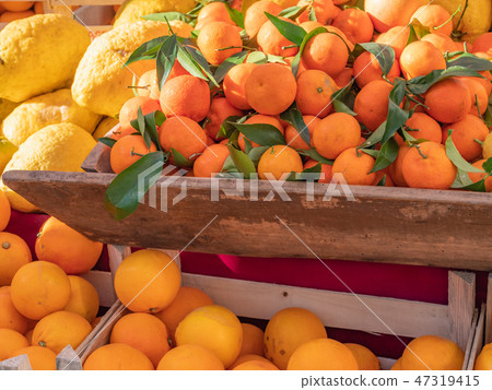 意大利熱那亞橙 47319415