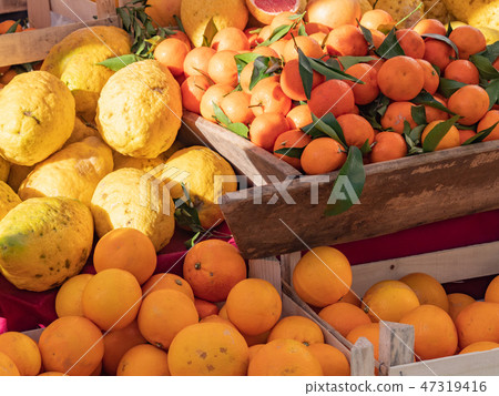 意大利熱那亞橙 47319416