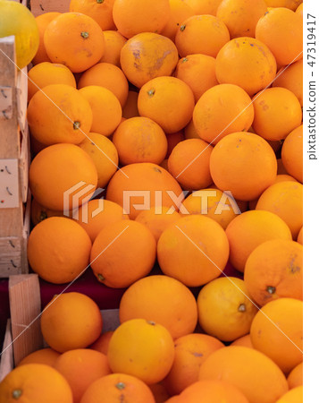 意大利熱那亞橙 47319417