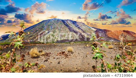 Teide volcano in Canary island.Tenerife 47319964