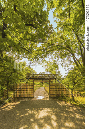 Rokugien傳統建築的內庭院的竹門在明治時代被秋葉,櫻花和槭樹包圍。 Rokugien傳統建築的內庭院的竹門在明治時代被秋葉,櫻花和槭樹包圍。 47320251
