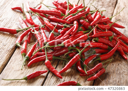 Wild African chilli piri-piri peppers close-up 47320863