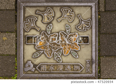 位於文京區的櫻花,櫻桃,方形雨水滲透浴的沙井,裝飾著東京的象徵銀杏葉。 位於文京區的櫻花,櫻桃,方形雨水滲透浴的沙井,裝飾著東京的象徵銀杏葉。 47320934