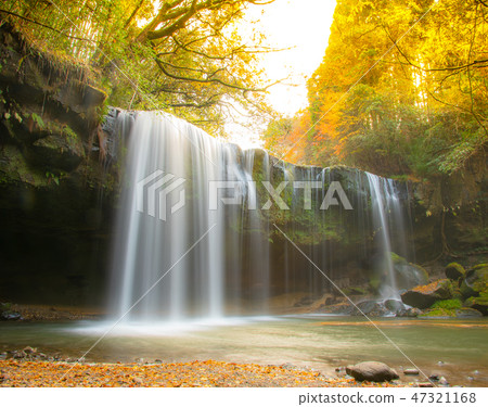 秋葉季節的Nabutaki瀑布（熊本縣） 47321168