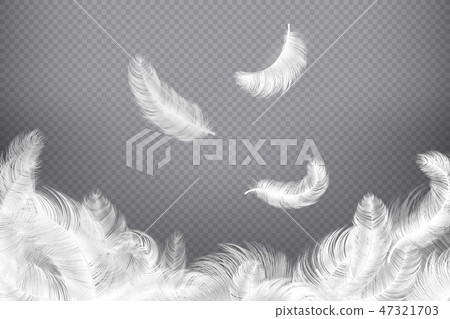 White feather background. Closeup bird or angel feathers. Falling weightless plumes. Dream 47321703