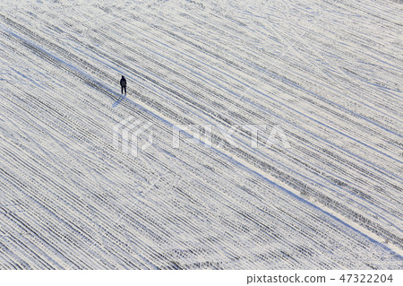 冰雪覆蓋的稻田 冰雪覆蓋的稻田 47322204
