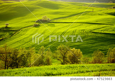 Beautiful green hills in Tuscany, Italy. Beautiful green hills in Tuscany, Italy. 47323663