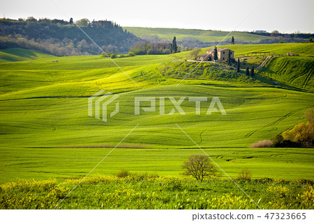 Beautiful green hills in Tuscany, Italy. Beautiful green hills in Tuscany, Italy. 47323665