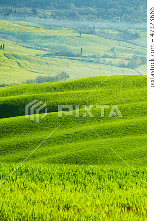Beautiful green hills in Tuscany, Italy. Beautiful green hills in Tuscany, Italy. 47323666