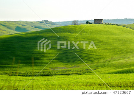 Beautiful green hills in Tuscany, Italy. Beautiful green hills in Tuscany, Italy. 47323667