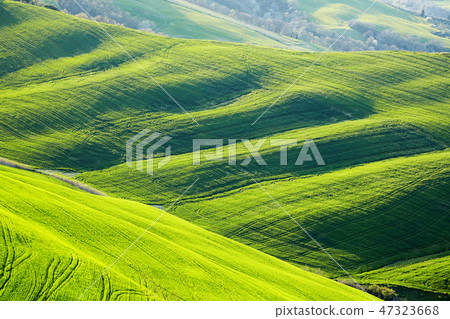 Beautiful green hills in Tuscany, Italy. Beautiful green hills in Tuscany, Italy. 47323668