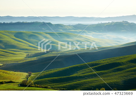 Beautiful green hills in Tuscany, Italy. Beautiful green hills in Tuscany, Italy. 47323669