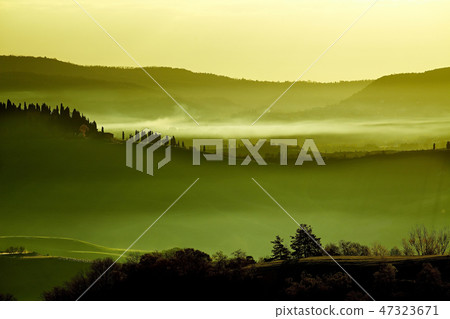 Beautiful green hills in Tuscany, Italy. 47323671