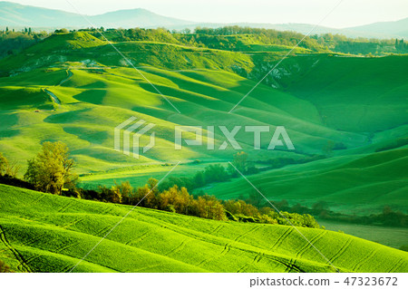 Beautiful green hills in Tuscany, Italy. Beautiful green hills in Tuscany, Italy. 47323672