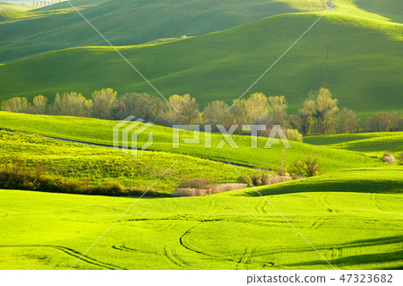 Beautiful green hills in Tuscany, Italy. Beautiful green hills in Tuscany, Italy. 47323682