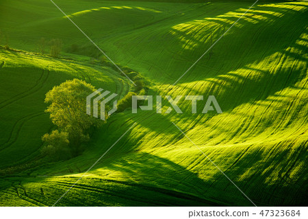 Beautiful green hills in Tuscany, Italy. Beautiful green hills in Tuscany, Italy. 47323684