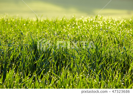 Abstract natural backgrounds 47323686