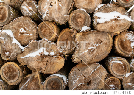Pile of wood logs 47324138
