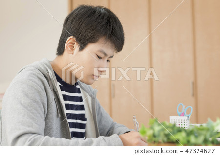 Boy studying Boy studying 47324627