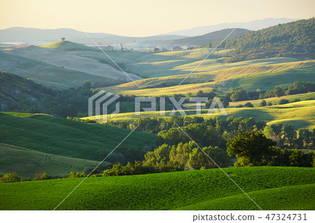 Countryside, San Quirico d`Orcia , Tuscany, Italy 47324731