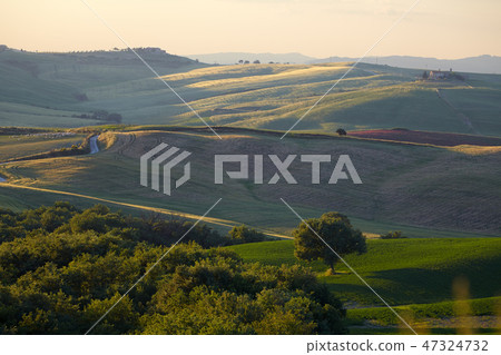 Countryside, San Quirico d`Orcia , Tuscany, Italy 47324732