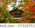 Autumn leaves of Nanzenji 47324752