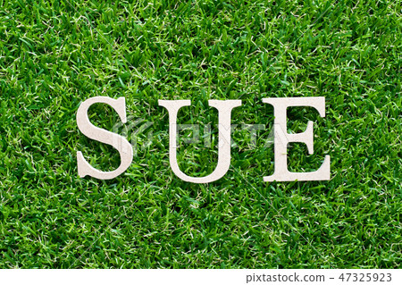 Wood alphabet in word sue on green grass Wood alphabet in word sue on green grass 47325923