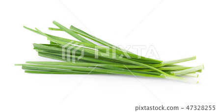 Garlic chives isolated on white background 47328255