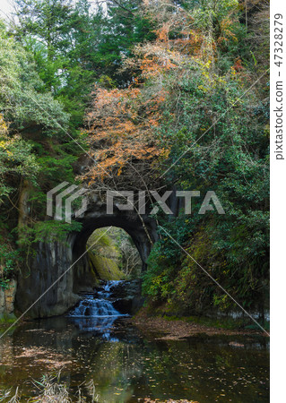 Deep Grove Falls / Kameiwa Cave 47328279