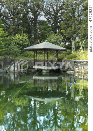 Mejiro花園的Ikesen一個六角形的浮動大廳和一個幽靈,反映在水面上,松樹蔓延在池塘周圍,秋天樹木映襯著背景。 Mejiro花園的Ikesen一個六角形的浮動大廳和一個幽靈,反映在水面上,松樹蔓延在池塘周圍,秋天樹木映襯著背景。 47329234