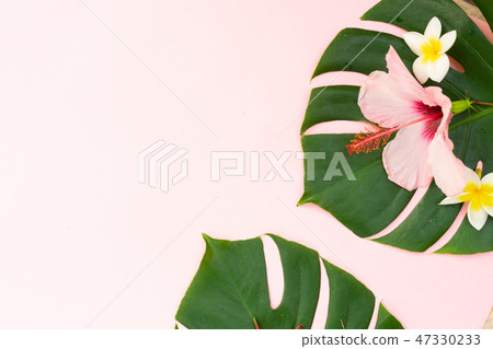 Tropical green leaves 47330233