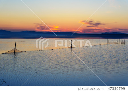 View of sunrise in lagoon Orbetello. Italy View of sunrise in lagoon Orbetello. Italy 47330799