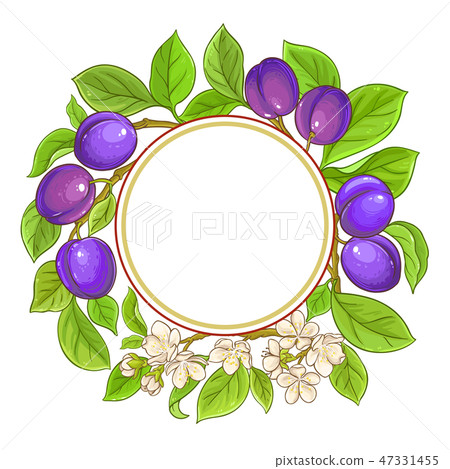 plum vector frame 47331455